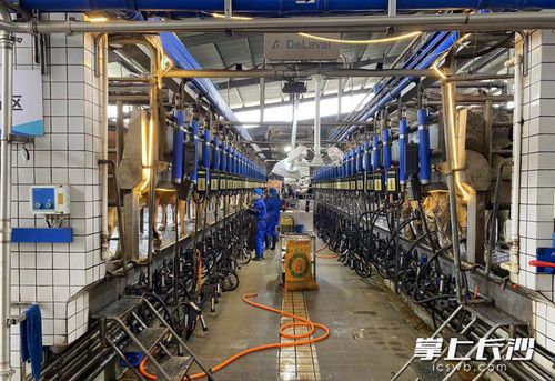 數(shù)字技術成農業(yè)生產“新農具” 智能設備助推長沙農業(yè)產業(yè)提質升級與溫泉設備技術研發(fā)新動向